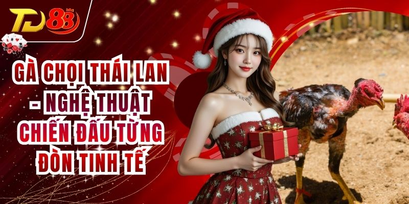 Gà Chọi Thái Lan - Nghệ Thuật Chiến Đấu Từng Đòn Tinh Tế