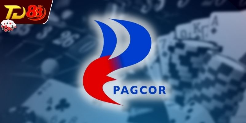 Những chứng chỉ quốc tế uy tín đang được áp dụng