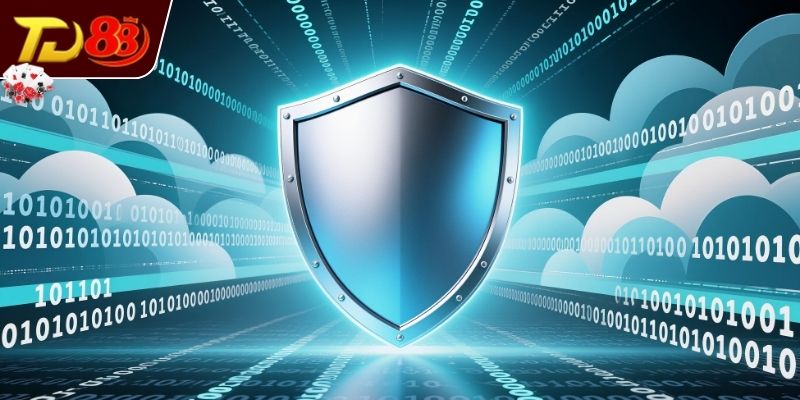 Quy định cụ thể hoạt động thu thập thông tin