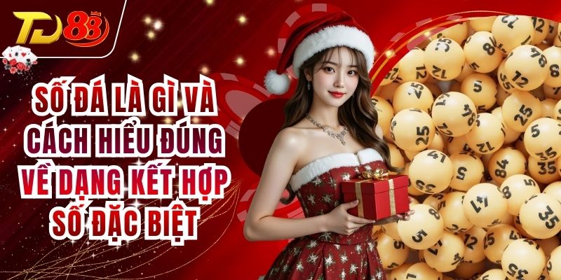 Số Đá Là Gì Và Cách Hiểu Đúng Về Dạng Kết Hợp Số Đặc Biệt