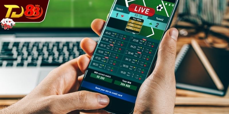 Tìm hiểu khái quát về top trang cá cược bóng đá