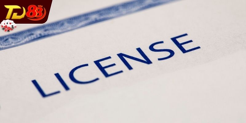 Tổng quan sơ lược về giấy phép hoạt động